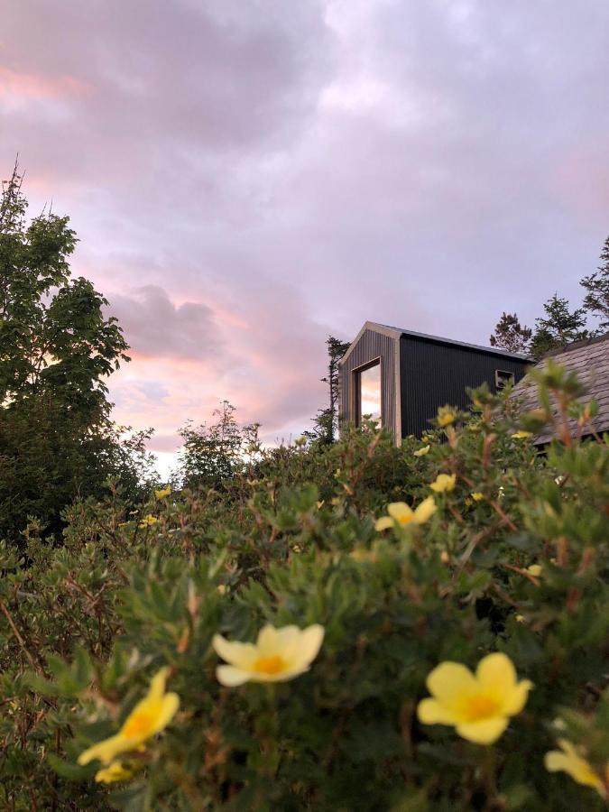 Tiny Home In Isle Of Skye-Pet Friendly Elgol Εξωτερικό φωτογραφία