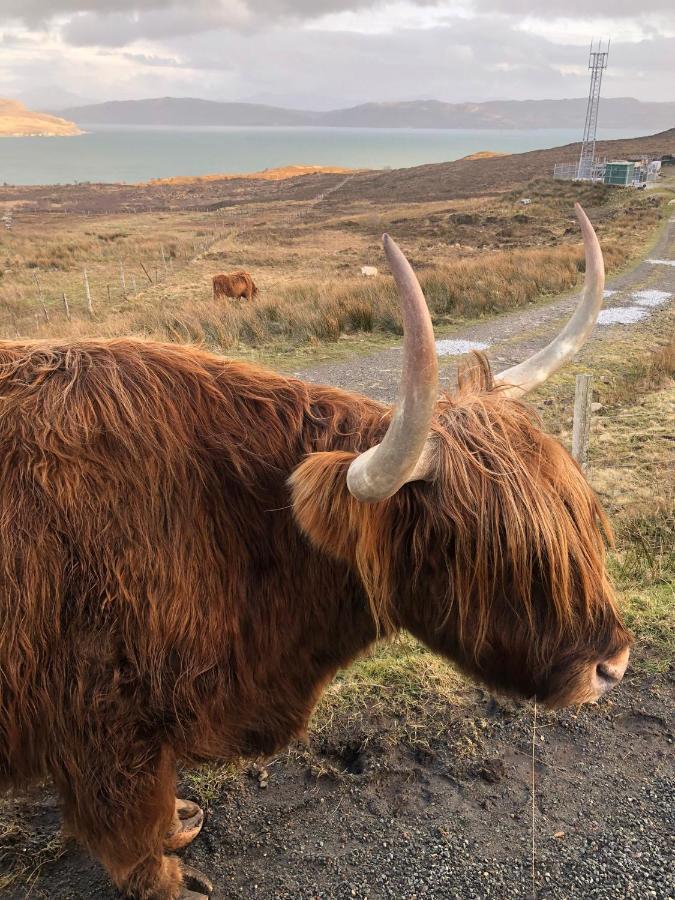 Tiny Home In Isle Of Skye-Pet Friendly Elgol Εξωτερικό φωτογραφία
