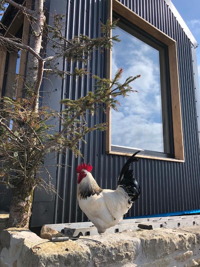 Tiny Home In Isle Of Skye-Pet Friendly Elgol Εξωτερικό φωτογραφία