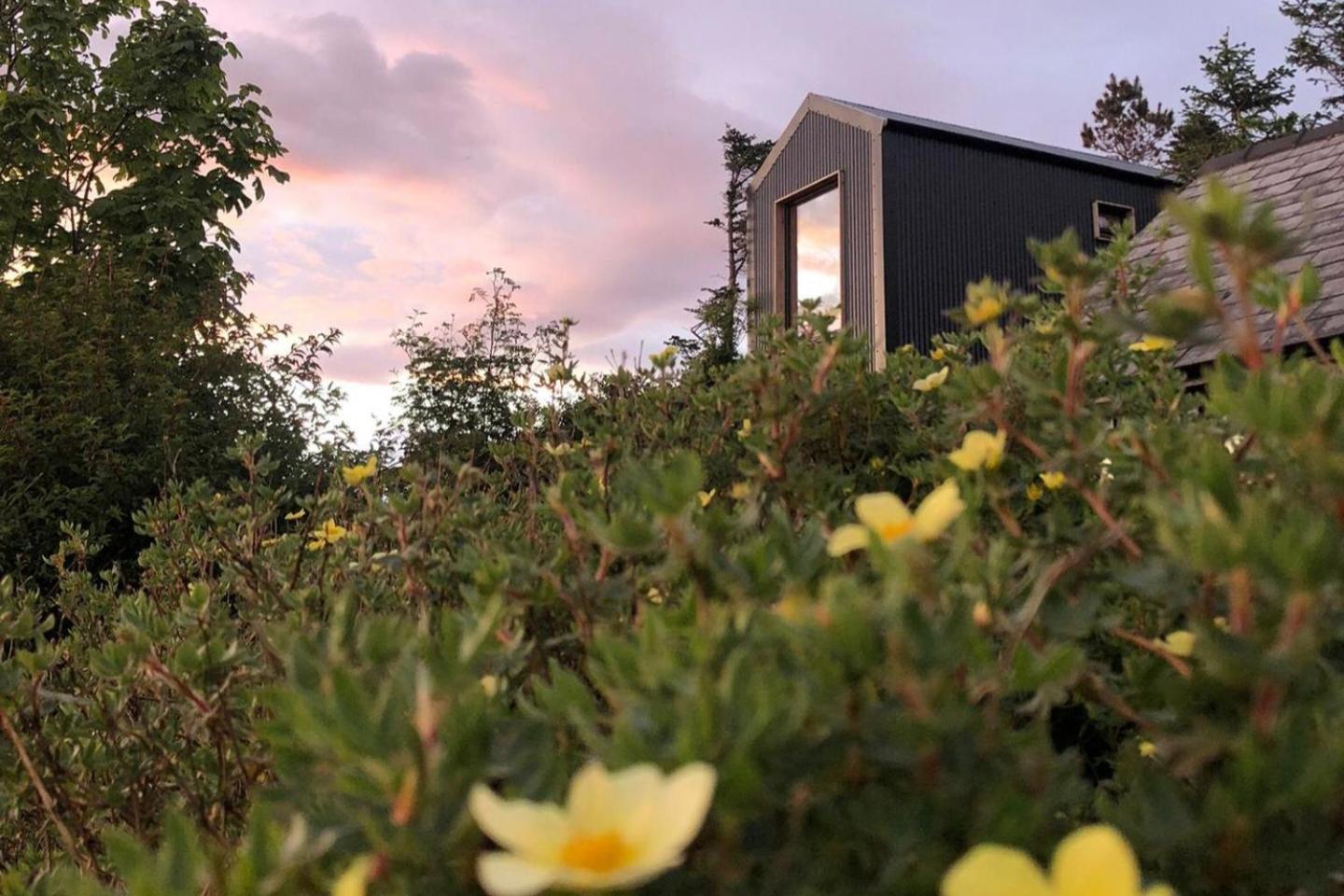 Tiny Home In Isle Of Skye-Pet Friendly Elgol Εξωτερικό φωτογραφία